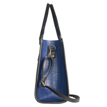 Load image into Gallery viewer, check Carry Blue